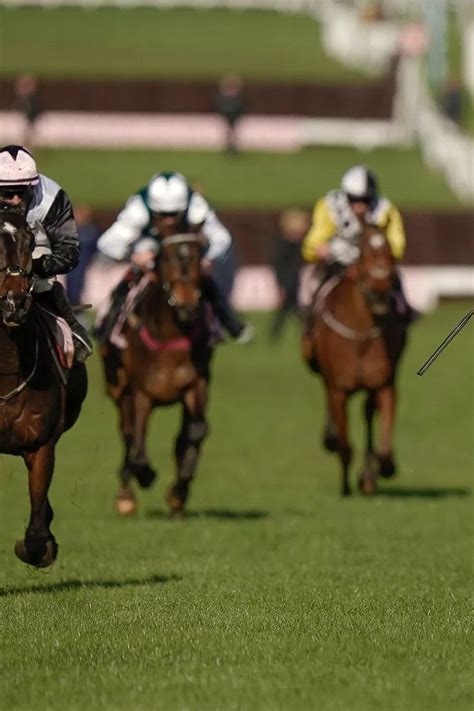 grand national odds skybet|Grand National runners, riders, favourites and odds for 2024: Full .